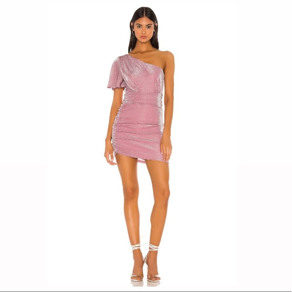 Privacy Please Ryleigh Mini Dress